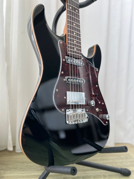 Gilmour Guitar New Standard ECO Black